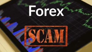 Avoid Forex Scams